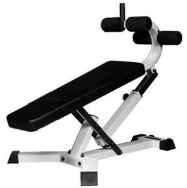110113 ABDOMINAL BENCH