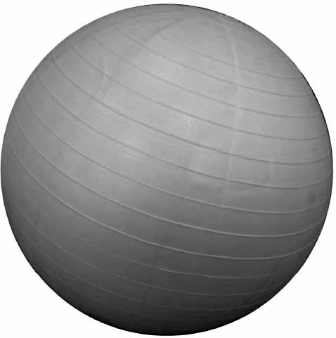 110116 EXERCISE BALL