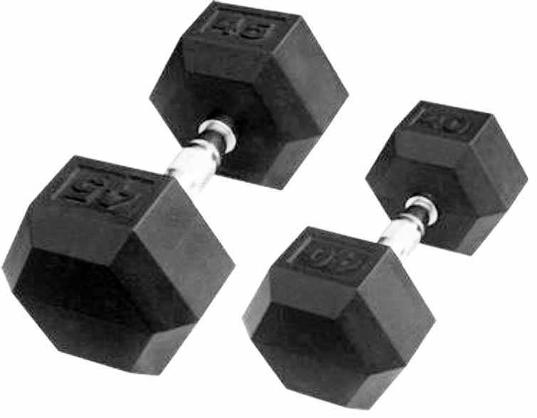 110122 DUMBBELL SET