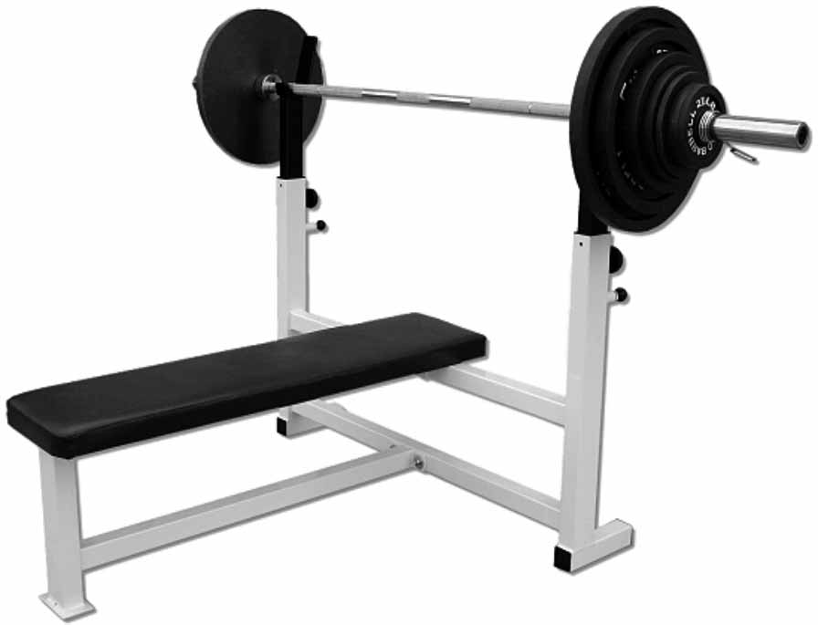 110124 SPINE PRESS BENCH