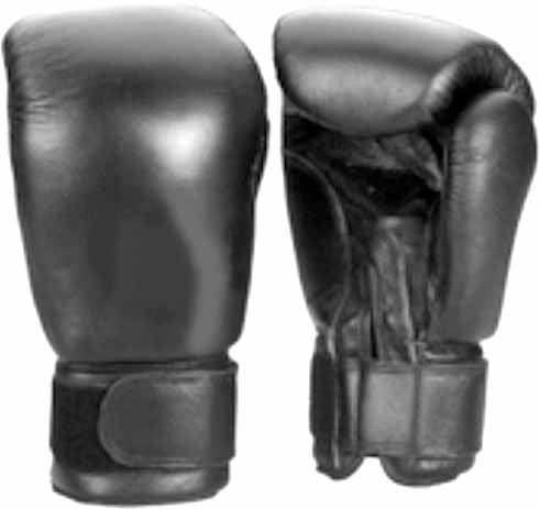 110132 BOXING GLOVES