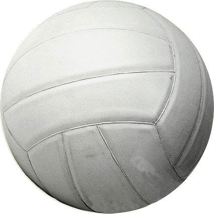 110180 VOLLEY BALL RUBBER