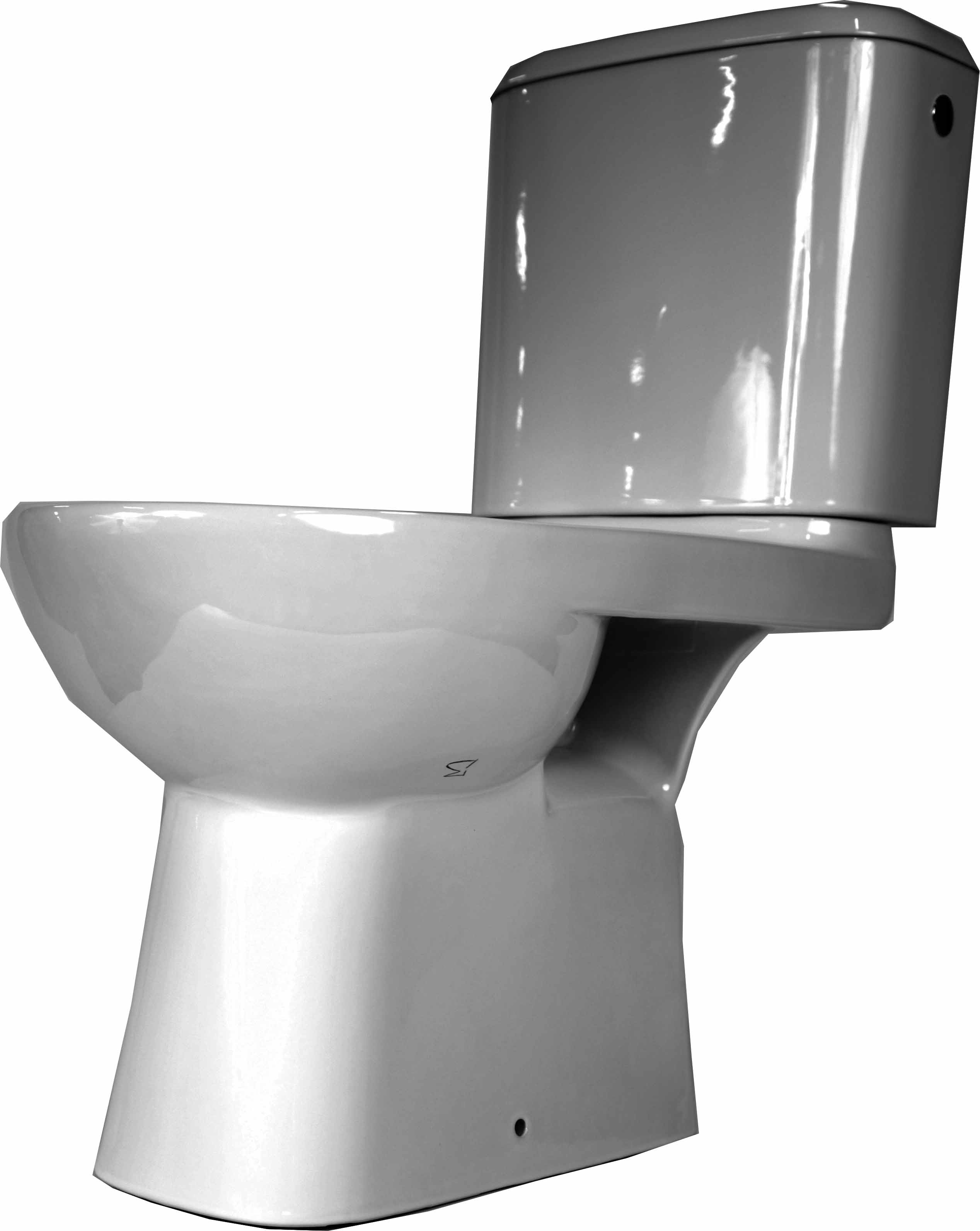 531505 WATER CLOSET COMBINATION, P-TRAP WATERLINE SA076010