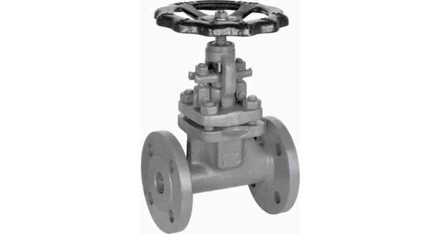 755458 GLOBE VALVE DIN CAST STEEL, FLANGED PN40 #1202 DN 65