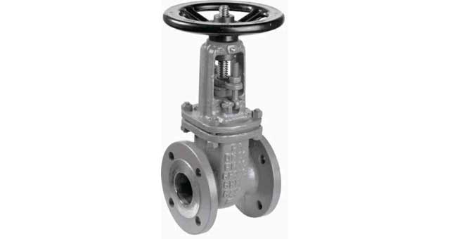 755682 GATE VALVE DIN CARBON STEEL, FLANGED PN10 #309 50MM