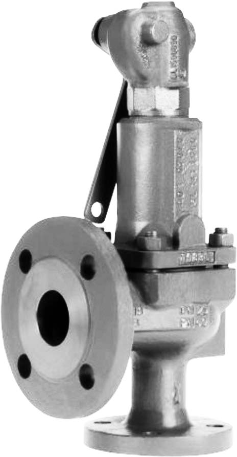 757051 SAFETY VALVE SPRING-LOADED DIN, CAST STEEL ANGLE #567 DN25