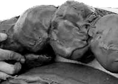 812495 PASTE ANTI-CORROSIVE NO VOC, SEASEAL 30MMX30MMX2.7MTR 