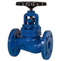 PN160 Cast Steel Globe Regular Valve - Size 32