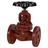 PN16 Ductile Iron Globe Regular Valve - Size 32