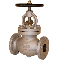 20K Cast Steel SDNR Globe Valve - 250