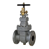 10K Cast Steel Gate Valve - 300 - with LRS Class Certificate