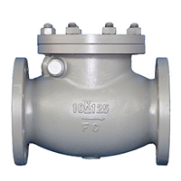 10K Cast Iron Swing Check Valve - 125