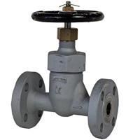 20K Forged Steel Globe Valve - 15